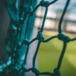 soccer net view